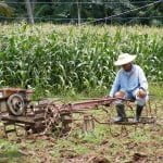 Farmer in Ban Pa Kanun