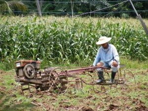 Farmer in Ban Pa Kanun