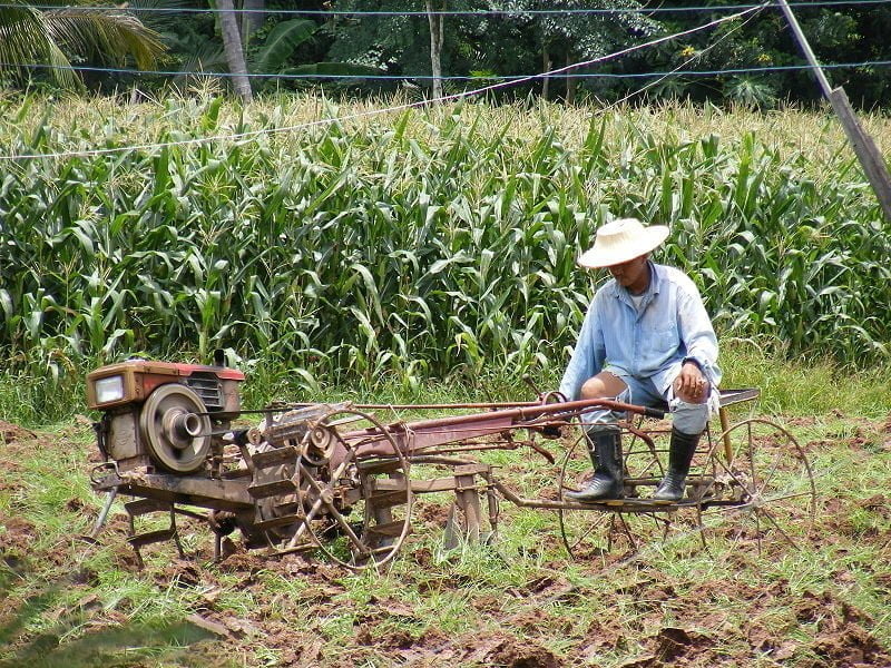 Farmer in Ban Pa Kanun