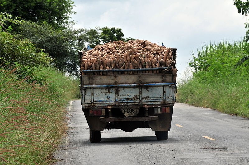 A truck laden with tapioca roots in Thailand