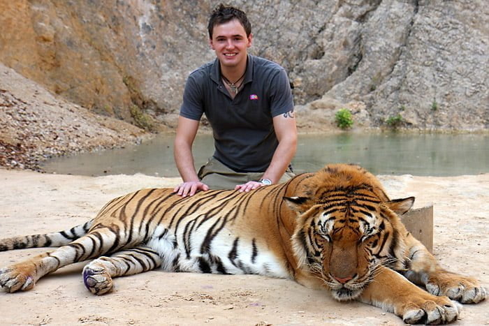 Tiger temple in Kanchanaburi