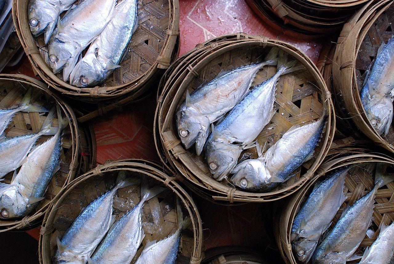 Pla tu is a steamed and salted short mackerel sold at the market in Thailand
