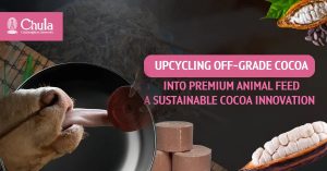 Happy Cows, Higher Income for Farmers with “Cocoa-Based Mineral Supplement” Chula Researchers Transform Low-Grade Cocoa into Premium Animal Feed.