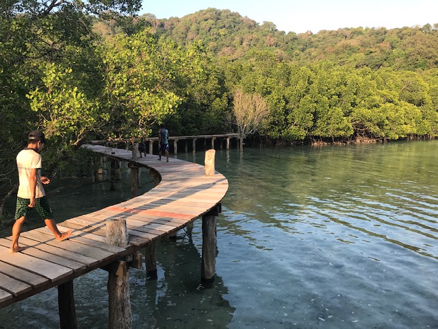 Wooden footbridge