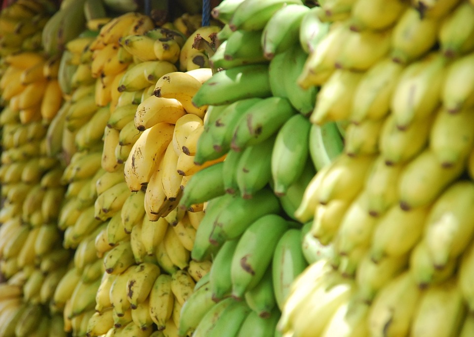 Thai bananas