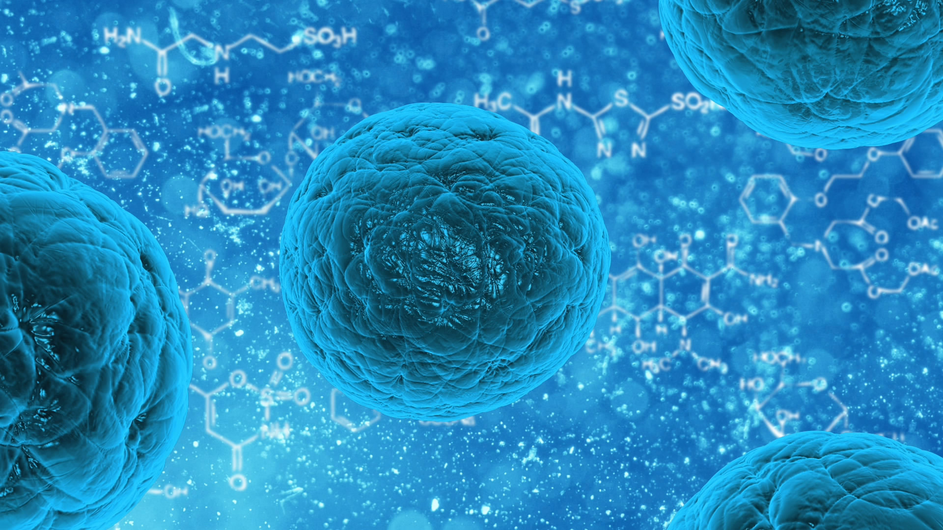 Human cell