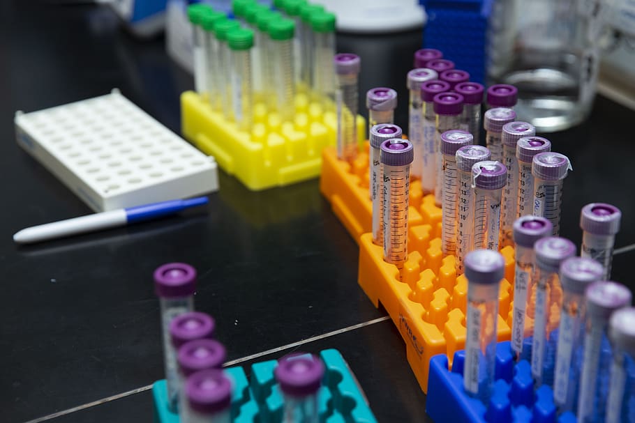 Coloured test tubes in a laboratory
