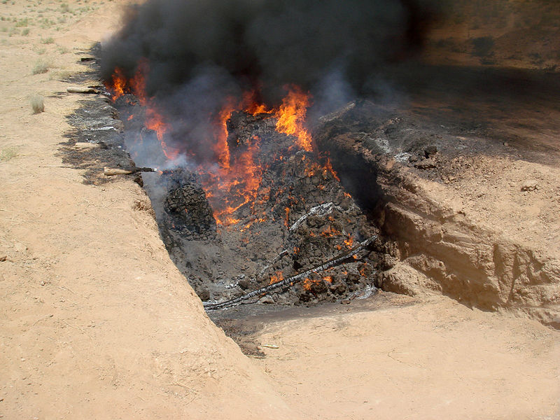 Authorities burning drugs seized during a joint operation