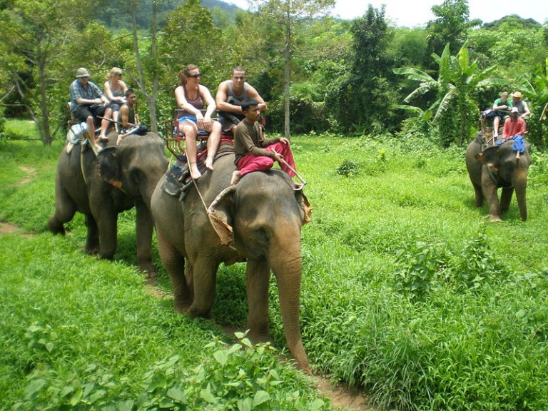 Elephant trek in Koh Chang