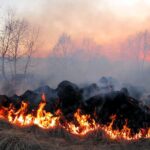 Thai authorities burning seized drugs.