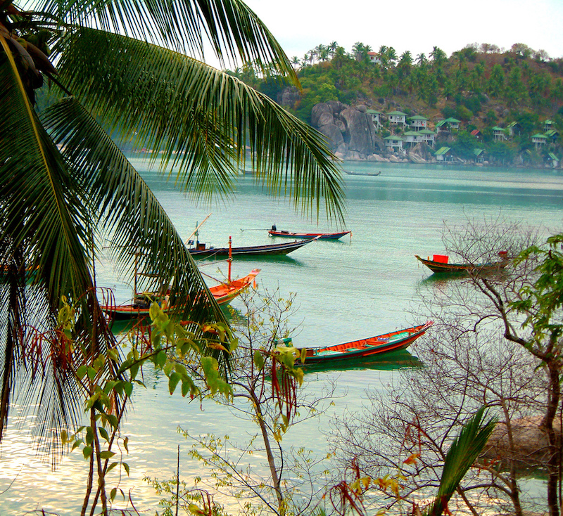 Forest and beach in Koh Tao