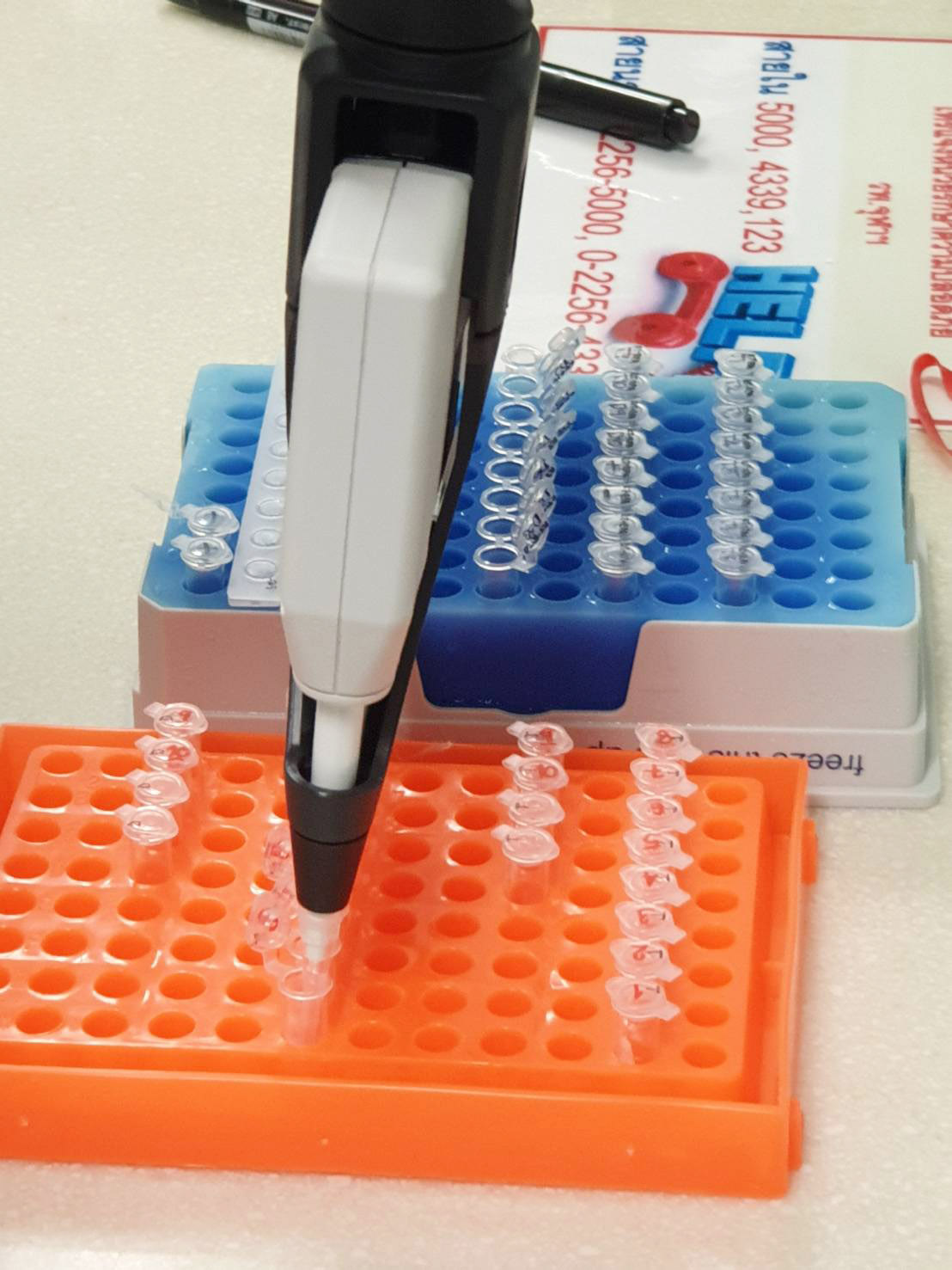 Chulalongkorn University test laboratory
