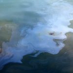 Oil spilled from a South Korea-bound container ship
