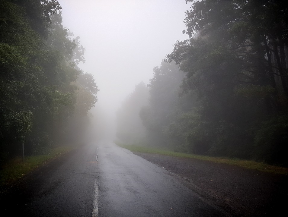 Road with dense fog