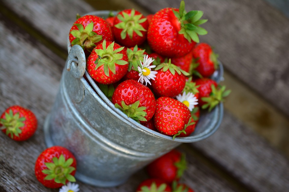 A bucket with strawberries